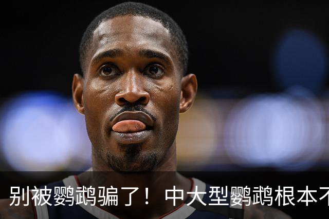 别被鹦鹉骗了！中大型鹦鹉根本不是宠物，是会飞的野生猛禽！