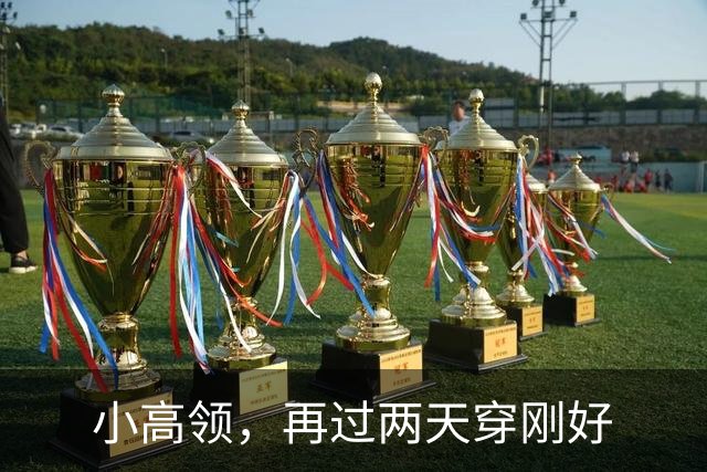 小高领，再过两天穿刚好