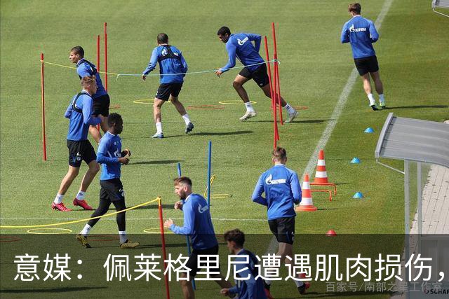 意媒：佩莱格里尼遭遇肌肉损伤，明日接受仪器检查评估伤情