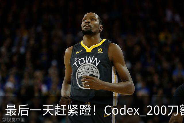 最后一天赶紧蹬！Codex 200刀额度砍半，ChatGPT入口大更新