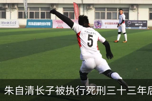 朱自清长子被执行死刑三十三年后，法院认定判决错误决定撤销原判