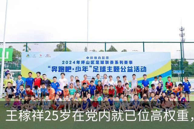 王稼祥25岁在党内就已位高权重，怎么后来地位一路走低，遗憾收场