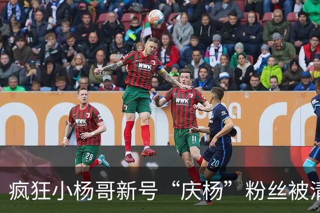 疯狂小杨哥新号“庆杨”粉丝被清零，新增关注也不计入粉丝量