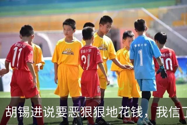 胡锡进说要恶狠狠地花钱，我信了，结果大A今天涨了