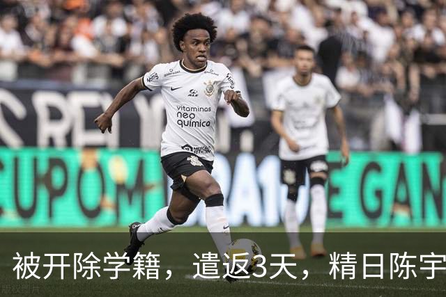 被开除学籍，遣返3天，精日陈宇昕又迎3大麻烦，出路被堵死