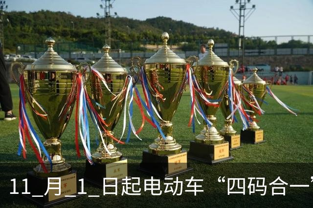 11 月 1 日起电动车“四码合一”，禁售裸车！以后换电池该怎么办？