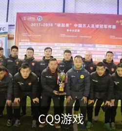CQ9游戏案例